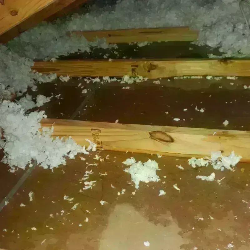 Attic Water Damage in Central Aguirre, PR